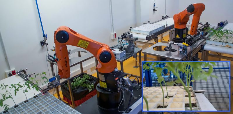 Plano técnico - INJER-ЯOBOTS