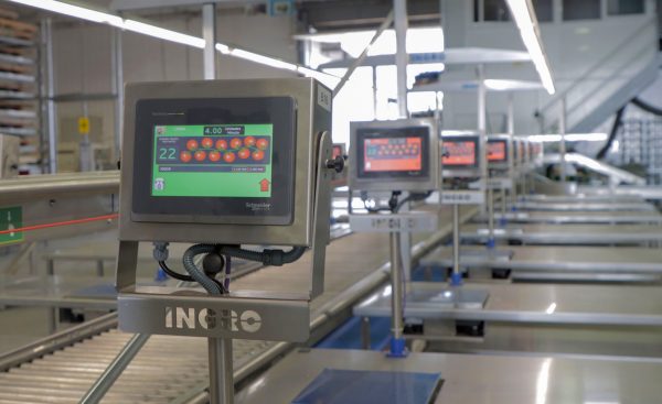 Ingro Maquinaria finaliza una nueva línea de manipulado inteligente
