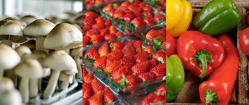 Productos hortofrutícolas