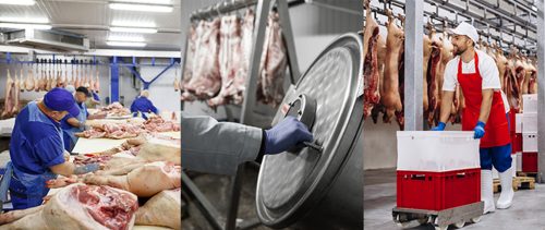 Entornos productivos con altos estándares sanitarios