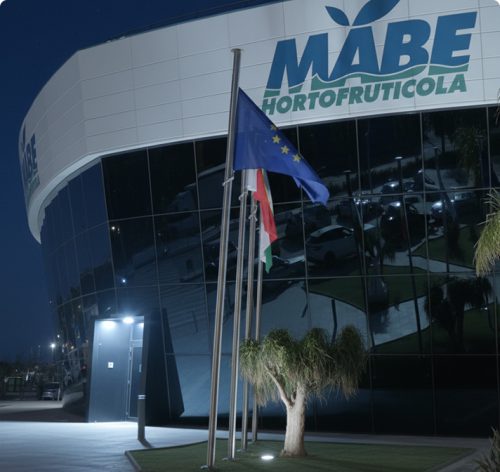 MABE Hortofrutícola